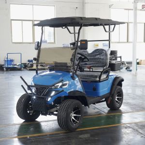 Buy cheap Customized Colors 2 Seater Golf Cart with LCD Instrument and Scorecard Holder from wholesalers