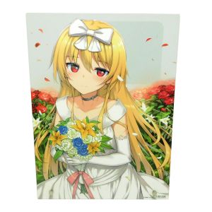 Buy cheap Factory Oem Wholesale acrylic figure display Photo Frames from wholesalers