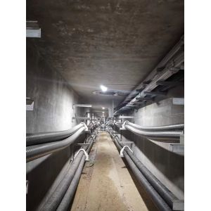 Buy cheap Explosion-proof Fluorescent Light Designed to Meet Customer Requirements in Hazardous Environments from wholesalers