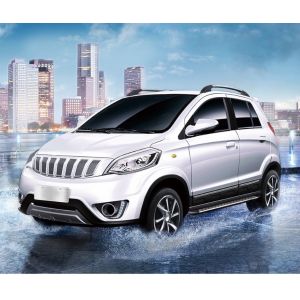 Buy cheap 205km Range Electric Passenger Car 4 Wheel Drive Euro Displacement from wholesalers