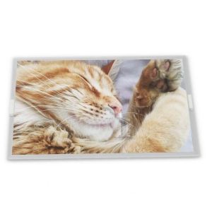 Buy cheap LM238WR2-SPE1 23.8 TFT LCD Display Modules Quality supplier supplier lcd panel orginal highly adaptive from wholesalers