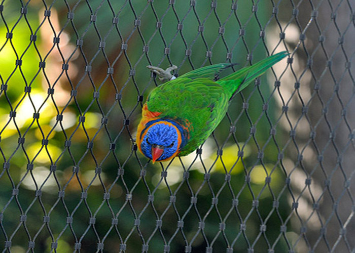 Buy cheap Protection Parrot Aviary Mesh Environmental Enclosure Rust Resistant from wholesalers