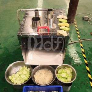 HDF-S01 Multifunction Vegetable Cutting Machine Electric Potato Radish Slicer