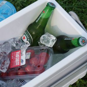 Buy cheap Phefon 8L Insulated Cooler Box for Camping and Picnics from wholesalers