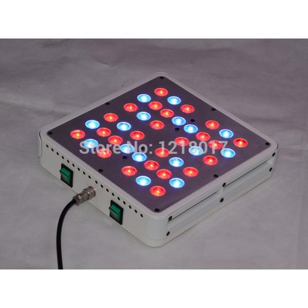 Buy cheap Shenzhen Full spectrum apollo 4 200W Led Grow Lights With High Lumens from wholesalers