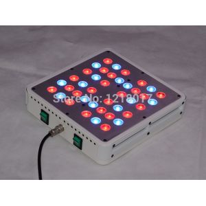 Buy cheap Shenzhen Full spectrum apollo 4 200W Led Grow Lights With High Lumens from wholesalers