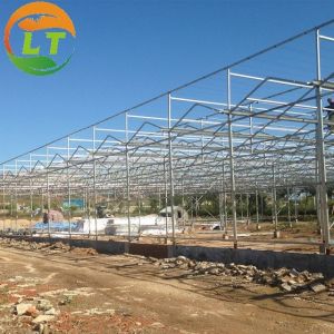 Buy cheap 50m Length Glass Greenhouse for Sightseeing Stable Structure and Customizable from wholesalers