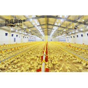 Hot Dip Galvanised Steel Structure Chicken Poultry Farm Shed for Heavy Load