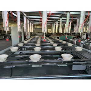 Buy cheap Advanced Sugarcane Bagasse Pulp Coating Production Line for Eco-Friendly Molding Solutions from wholesalers
