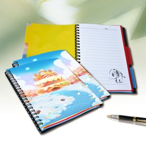 Custom 3D Lenticular Printing Card Lenticular Plastic Sheet Lenticular Printing