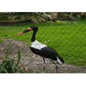 Buy cheap 7x7 Stainless Steel Animal Wire Mesh Rope Enclosure CE Certificated from wholesalers