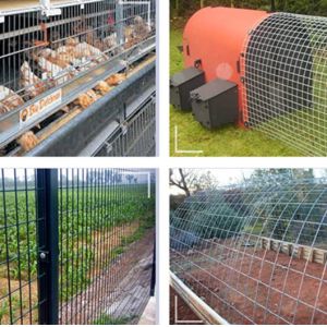 Fence barbed wire breeding galvanized welded mesh mesh balcony steel wire fence