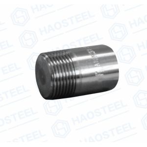 ANSI Industrial Pipe Forged Socket Plug ANSI B16.9 Equal Shape