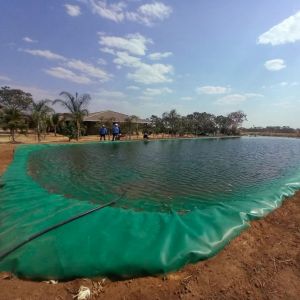 HDPE Geomembrane Waterproof Liner for 1m-8m Width Smooth Surface Pond in Shrimp