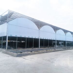 Buy cheap Nursery Commercial Blackout System Plastic Panda Film Multi-span Greenhouse from wholesalers