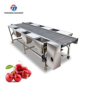 Buy cheap Customized Vegetable Processing Machine Fruit Sorting Table from wholesalers