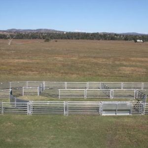 Galvanized Portable Horse Panels Corral Panel Fence 1.8m x 2.1m