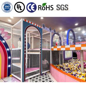 Custom Theme High Capacity Indoor Playground with Stainless Steel Frame and 3D