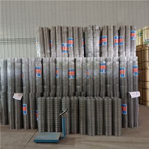 16 Gauge Galvanized Welded Wire Mesh Roll 1 X 1/2 Inch For Raising Animals