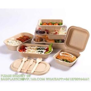 Wholesale Sugarcane Bagasse Pulp Lunch Box Takeaway Food Container Diaposiable