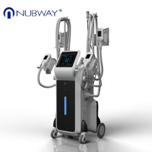 Buy cheap cryolipolysis cool shaping machine cryolipolysis machine price  cryolipolysis machine from wholesalers