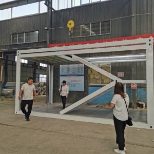 20 ft Prefab Storage Granny Flat Container House with Modern Design Style from