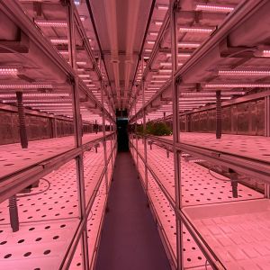 Buy cheap LED Light Indoor Hydroponic Farm Container with Climate Control from wholesalers
