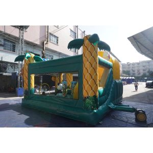 Kids Tarpaulin Inflatable Jumping House Bouncy Castle Combo With Slide