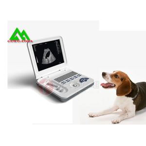 Buy cheap Portable Full Digital Veterinary Ultrasound Scanner For Cattle Caw Dog Animal from wholesalers