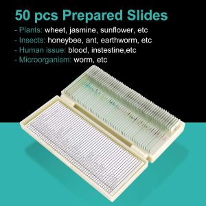 Biology Lab 50pcs Animal Tissue OEM Pre Prepared Microscope Slides