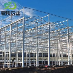 Buy cheap Cultivation Method Hydroponics Customized Glass Greenhouse for Cucumber Customization from wholesalers