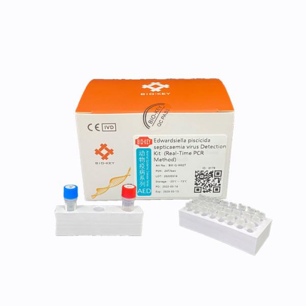 Quality EDW.P Aquaculture Pathogen Edwardsiella Piscicida Septicaemia Virus RT PCR Kit for sale