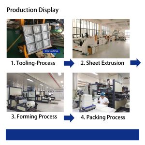 Disposable Plastic Salad Sweetmeat Preserved Fruit Packaging With Lid