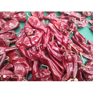 Buy cheap Stemless Yidu Chili 10cm-15cm Red Jinta Chilli Pepper from wholesalers