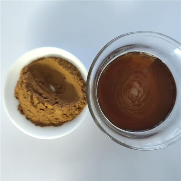 Quality Hot Sale energy supplement clove extract with best price for sale