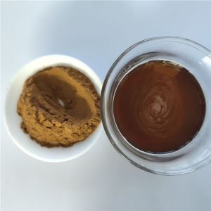 Buy cheap Hot Sale energy supplement clove extract with best price from wholesalers