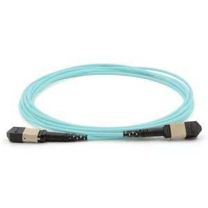 Buy cheap MPO- MPO Patch Cable 12 core Fiber Cable MTP- MTP OM3 OM4 Multimode for Data center from wholesalers