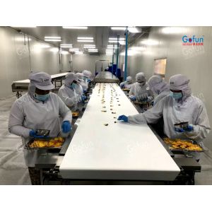 Buy cheap Industrial Dried Fruit Processing Line for Mango Apple Slices product