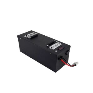 Buy cheap Compact Design 48V Lithium Iron Phosphate Battery with Fast Charging and High Capacity from wholesalers