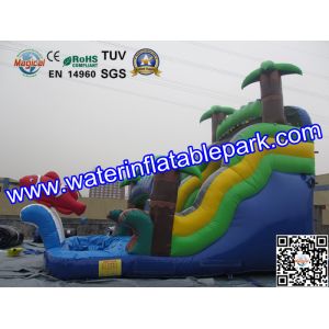 Bounce House Charming Inflatable Slide , Kids Inflatable Water Slides Pool