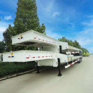Fixed Gooseneck FGN Low Bed Semi Trailer 60 Ton