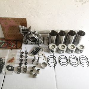 Buy cheap Cylinder Kit Piston Set for deutz BF4M2012 Engine from wholesalers