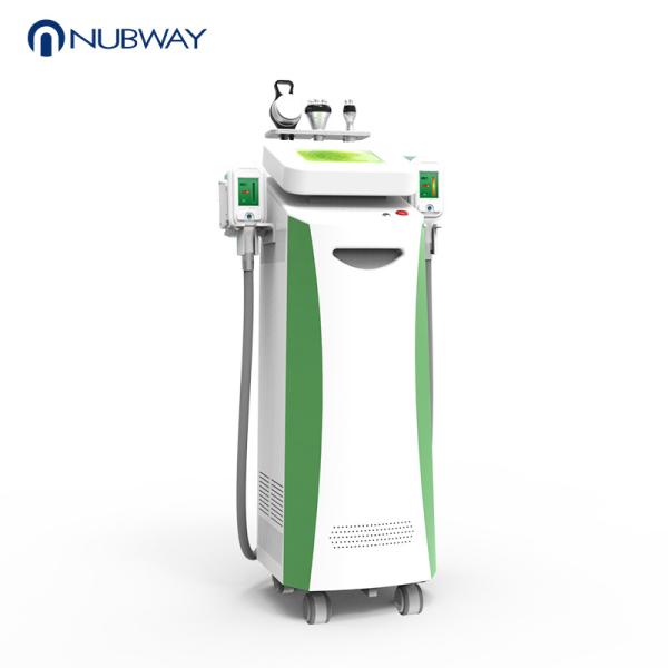 Multifunctional fat freezing weight loss fat melting cryolipolysis slimming