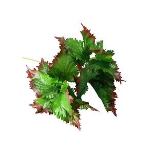 China 12 Artificial Tree Branches Perilla Frutescens Faux Folium Perillae on sale