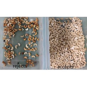 Wenyao AI Self Learning Cotton Seed Sesame Coix Seed Color Sorting Machine