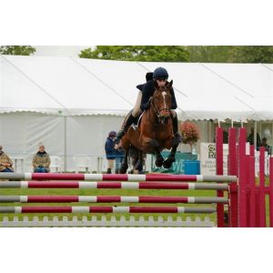 Buy cheap Equestrian Riding Arenas Specical Event Tent 20x100 Semi Permanent White Tent Pvc Fabric Horse Event from wholesalers