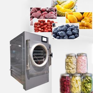 Buy cheap Touch Screen Operating Freeze Dried Fruit Machine 8kg One Key Start from wholesalers