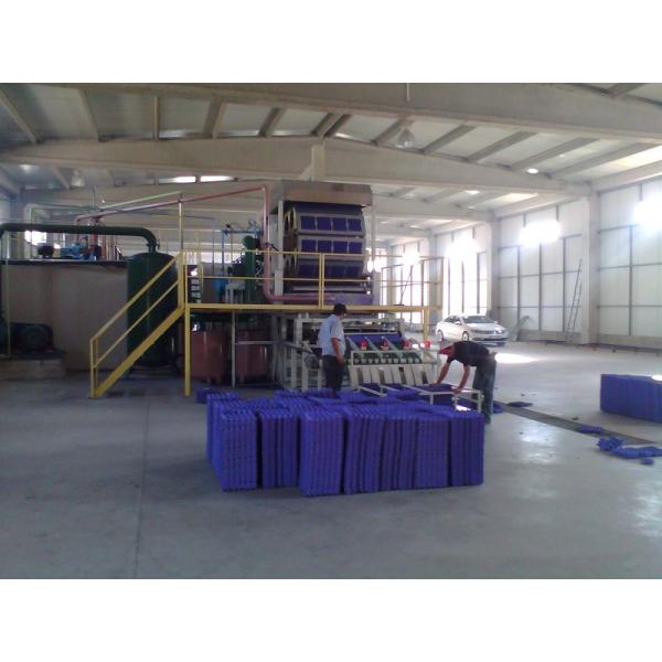 Quality CE Certified Pulp Egg Tray Machine Customized Fruit Tray Machine for sale