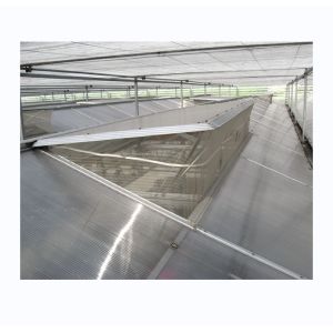 Quality Vegetable Fruits And Flowers Multi Span Agricultural Greenhouse With Tempered for sale Buy cheap Vegetable Fruits And Flowers Multi Span Agricultural Greenhouse With Tempered product