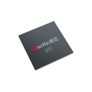 Buy cheap Q31 Iris Chip FPGA Core – Cost-Optimized Single-Chip Solution for Iris Recognition and Matching from wholesalers